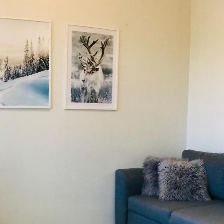 Santa'S Cozy Retreat, Near Santa'S Village Rovaniemi Ngoại thất bức ảnh