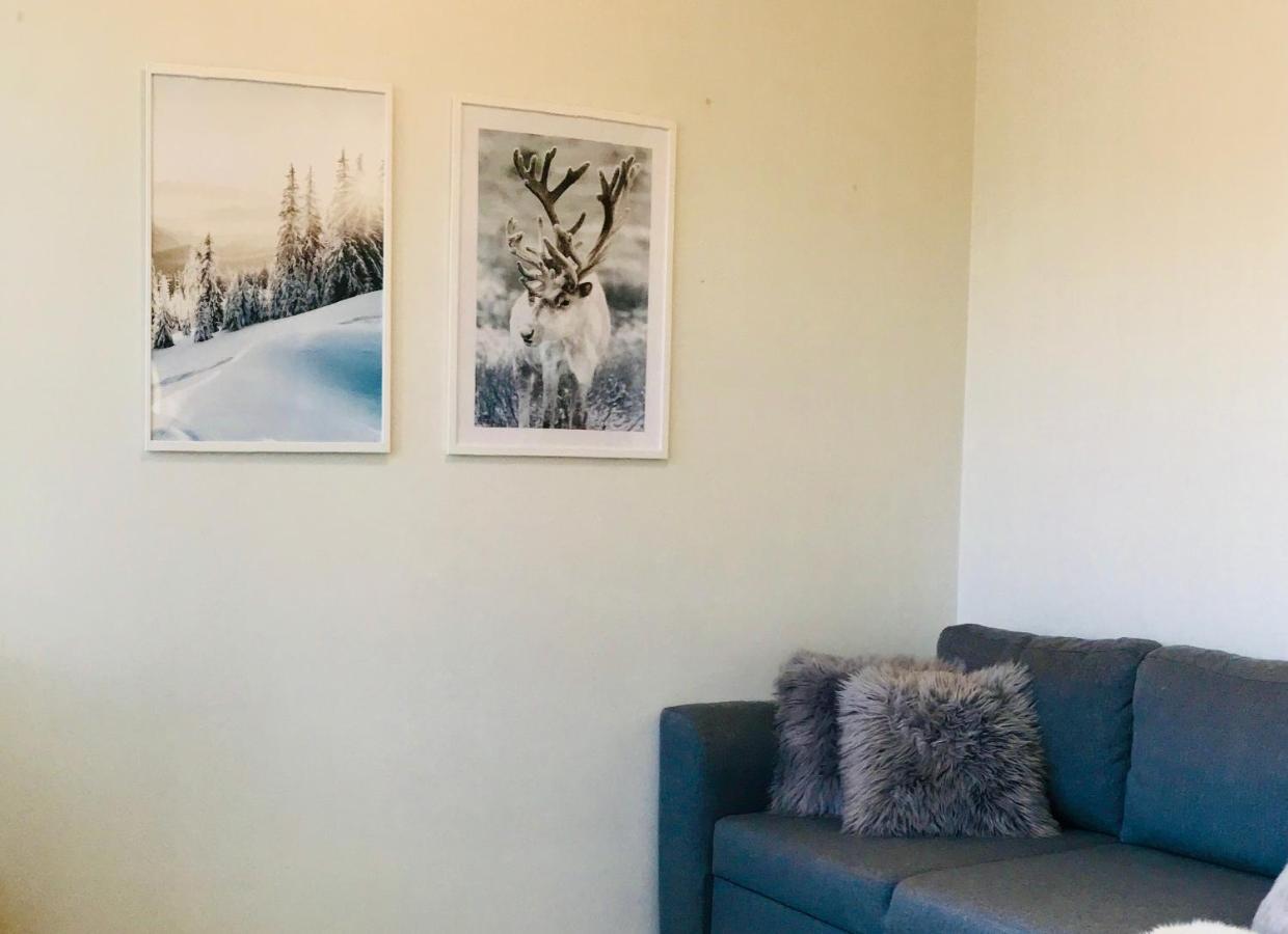 Santa'S Cozy Retreat, Near Santa'S Village Rovaniemi Ngoại thất bức ảnh
